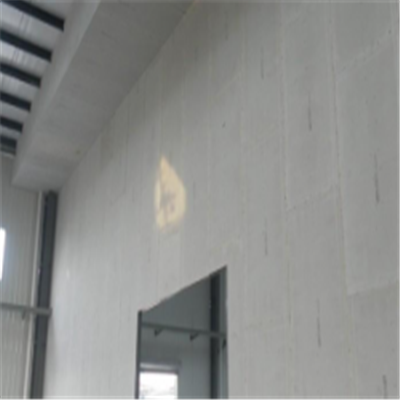 望谟宁波ALC板|EPS加气板隔墙与混凝土整浇联接的实验研讨
